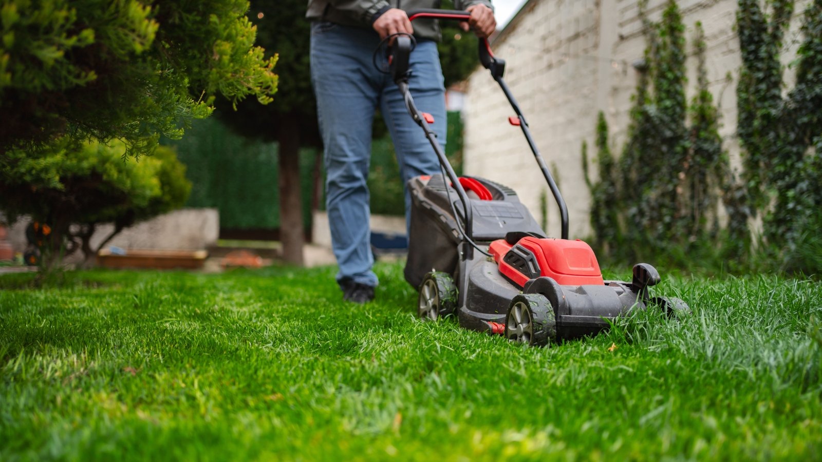 A gardener is mowing the lush green lawn with a red lawn mower, leaving neat rows of freshly cut grass in the garden.