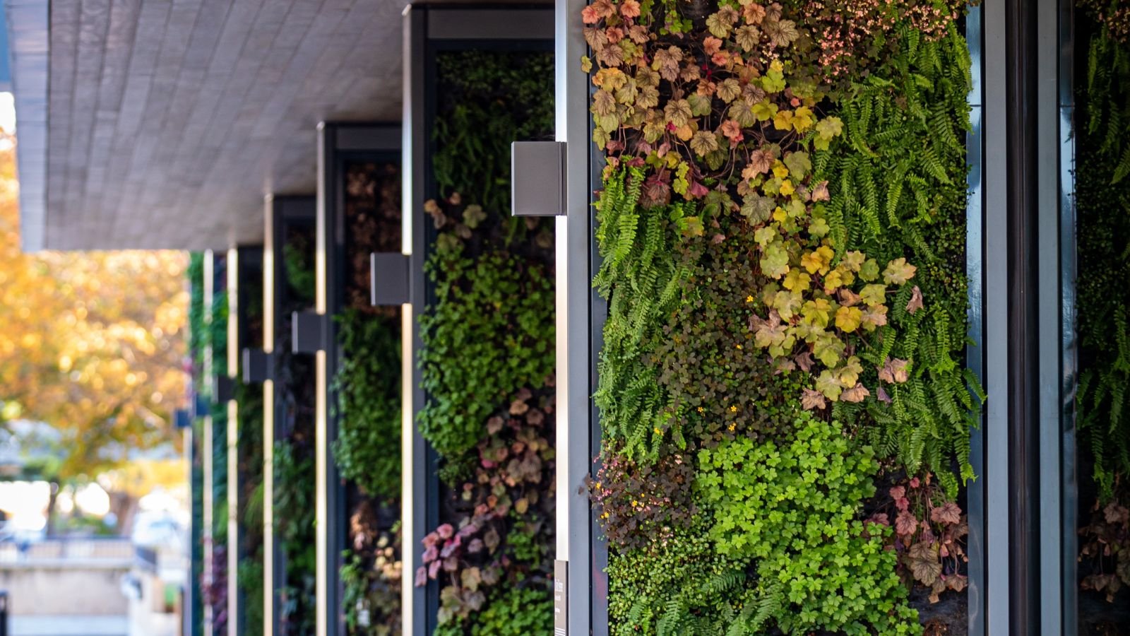 Multiple slats with different plants, having a wider variety of foliage ranging from green to deep purple hues