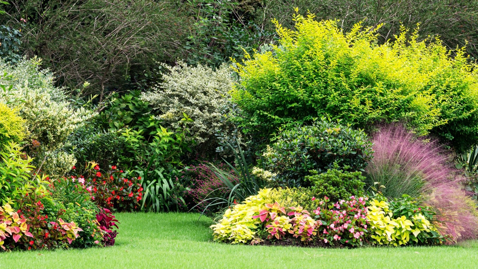 Overcrowded landscape with close-growing lush plants including shrubs, trees, ornamental grasses, deciduous and flowering perennials.