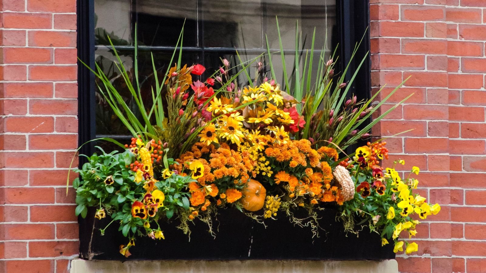 Pansies, Mums, and Ornamental Grasses in planter appearing to have a dynamic and showy look against red brick walls