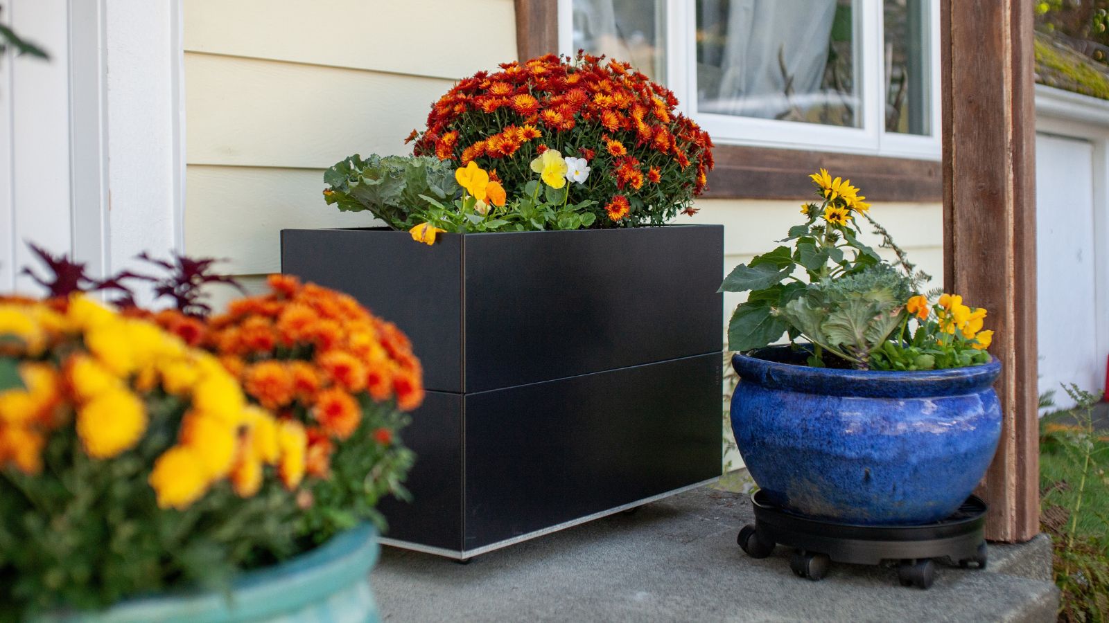 Potted plats with blooms placed on a concrete porch with wooden beams, having red, yellow and orange flowers