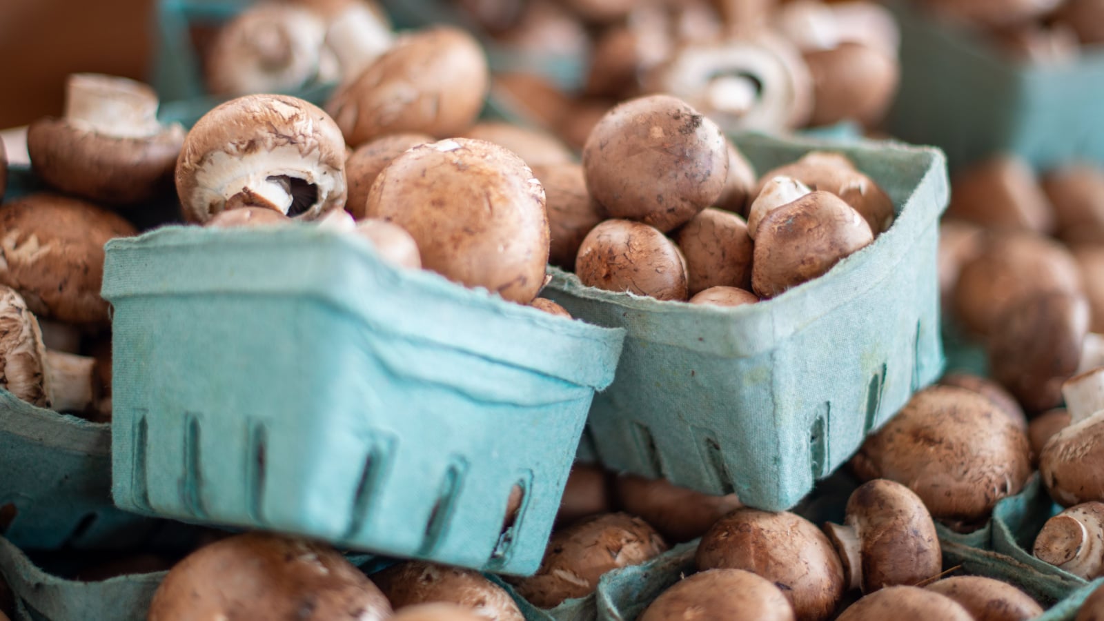 Button mushrooms or cremini or baby bella mushrooms are piled up in green cardboard containers on a white shelf of a grocery store. The brown cultivated organic raw fungi vegetable is freshly picked.
