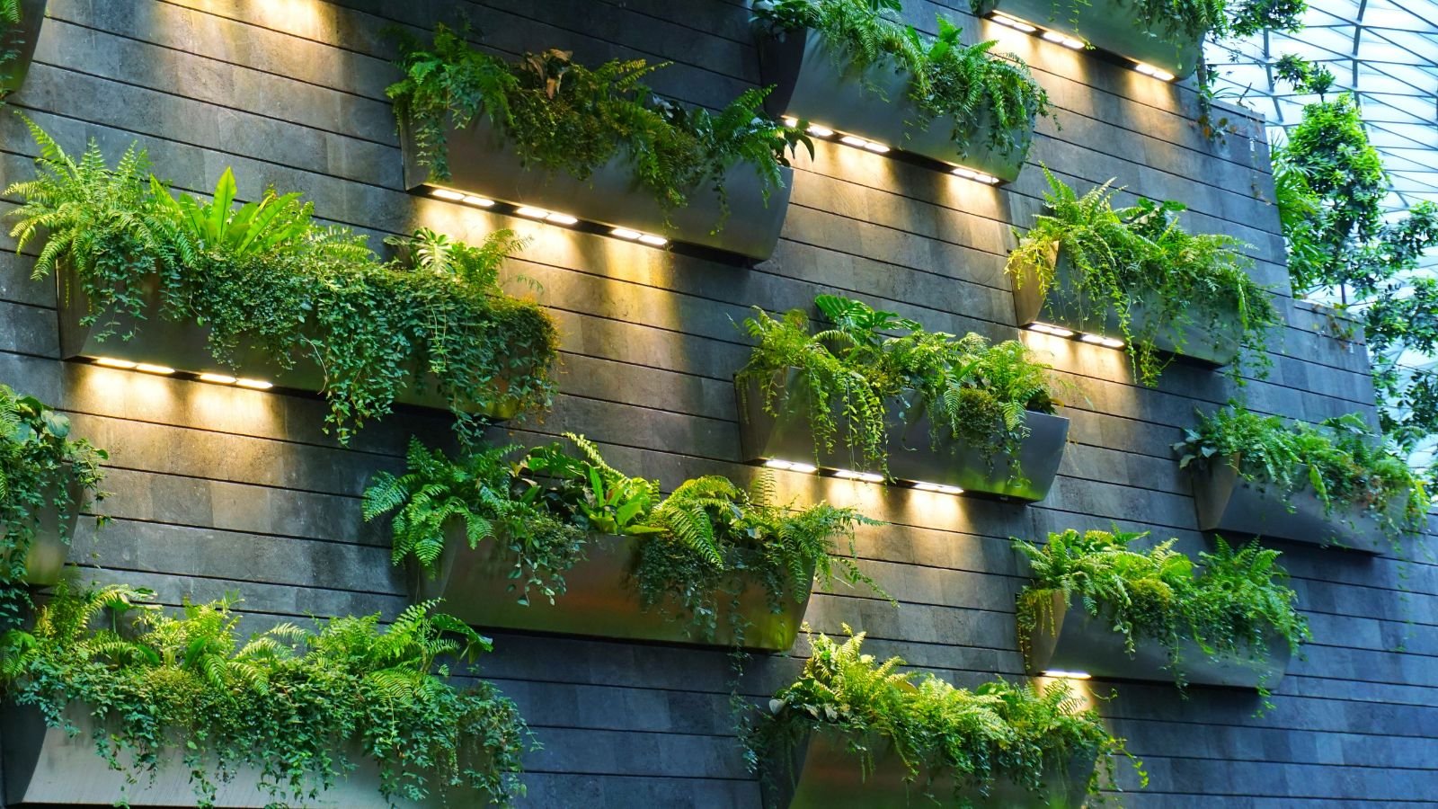 An appealing architectural design with lights and potted greens trailing off each container