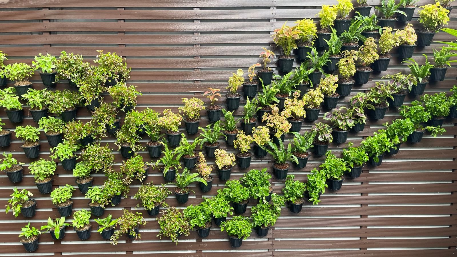 Suspended Pots arranged in a structured pattern with the background made of dark brown wood