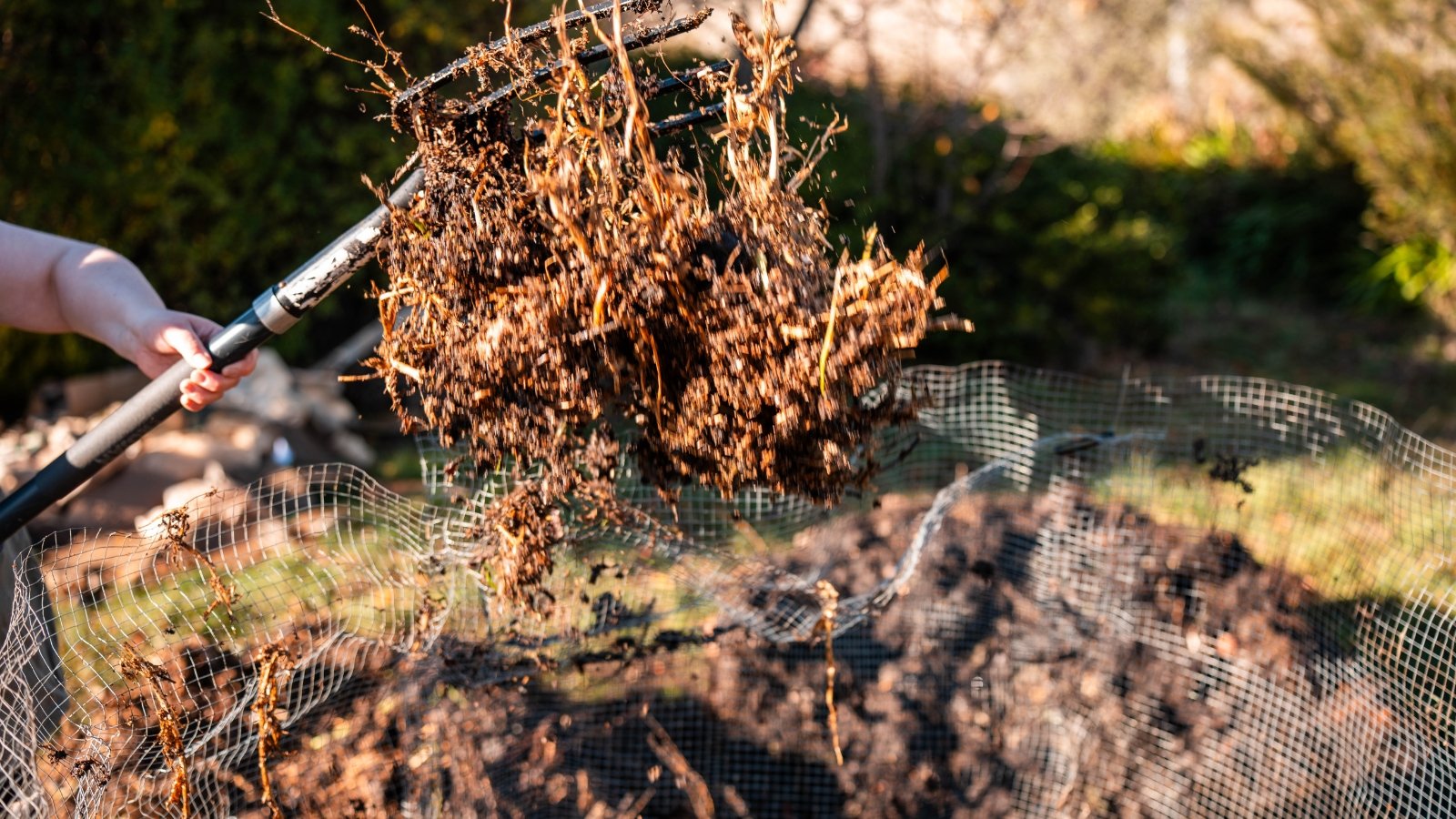 A gardener with a pitchfork turns a compost heap in a sunny garden.