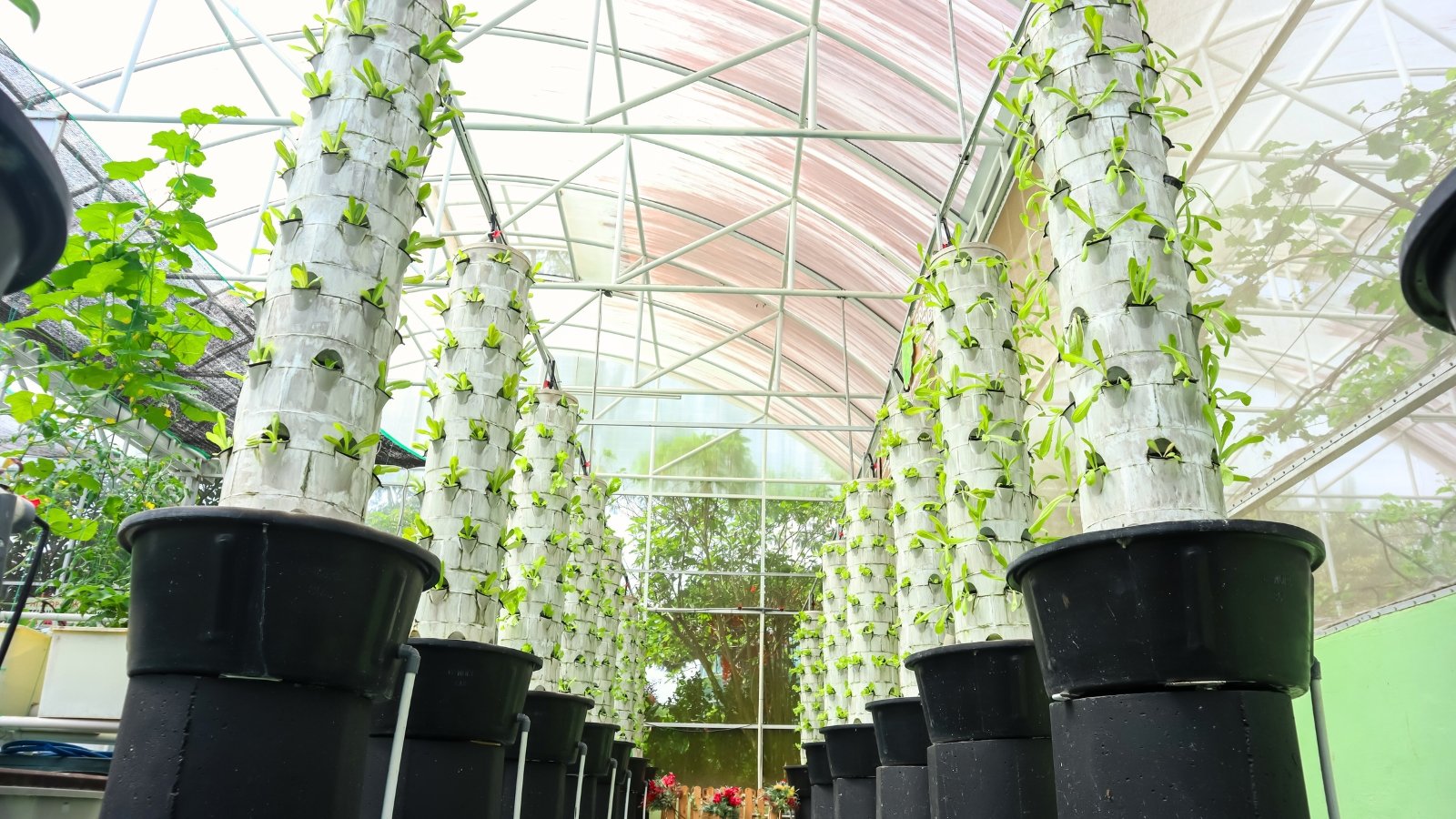 Rows of vibrant green lettuce plants with broad, crisp leaves grow densely in stacked, white vertical hydroponic tower systems with multiple planting pockets inside a bright greenhouse.