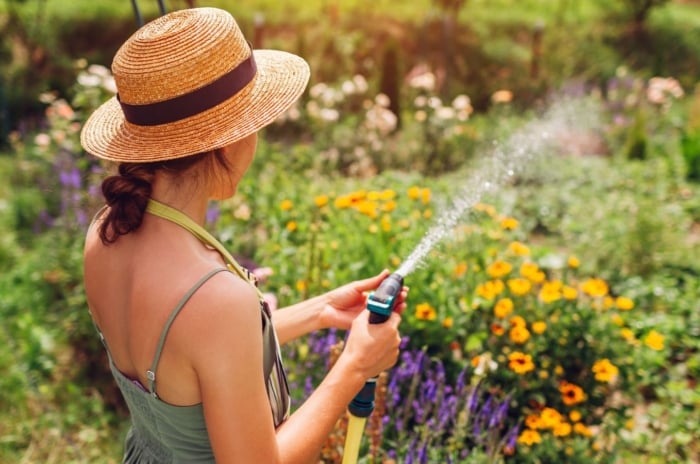 A woman holding a hose to water plants summer, holding it over an area covered in various foliage and blooms that come in different hues