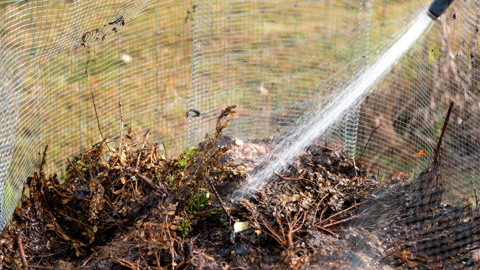 A brown compost pile enclosed in wire mesh being watered with a garden hose.