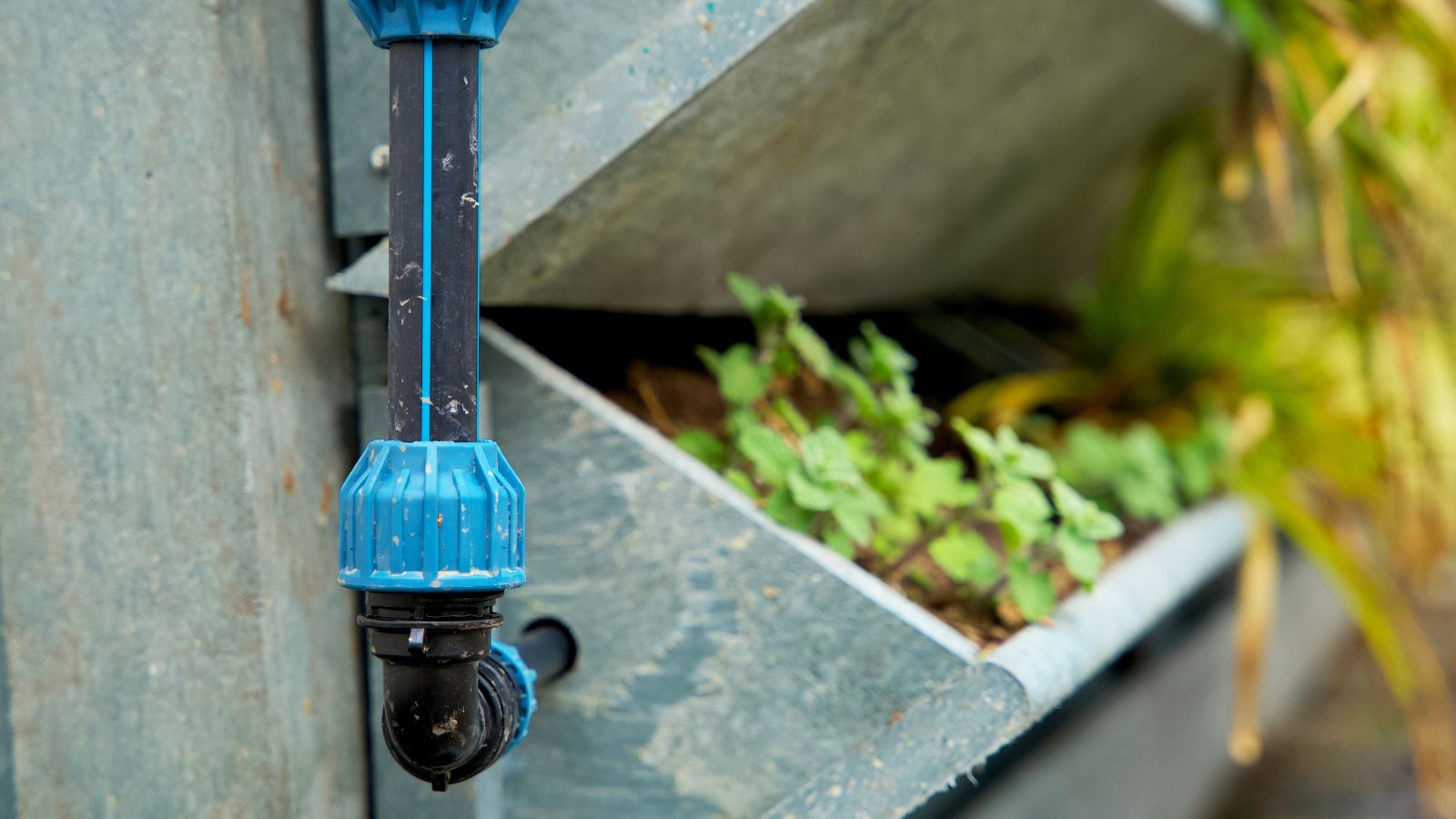 Watering system for containers that appear as made of steel containing various plants with different leaves