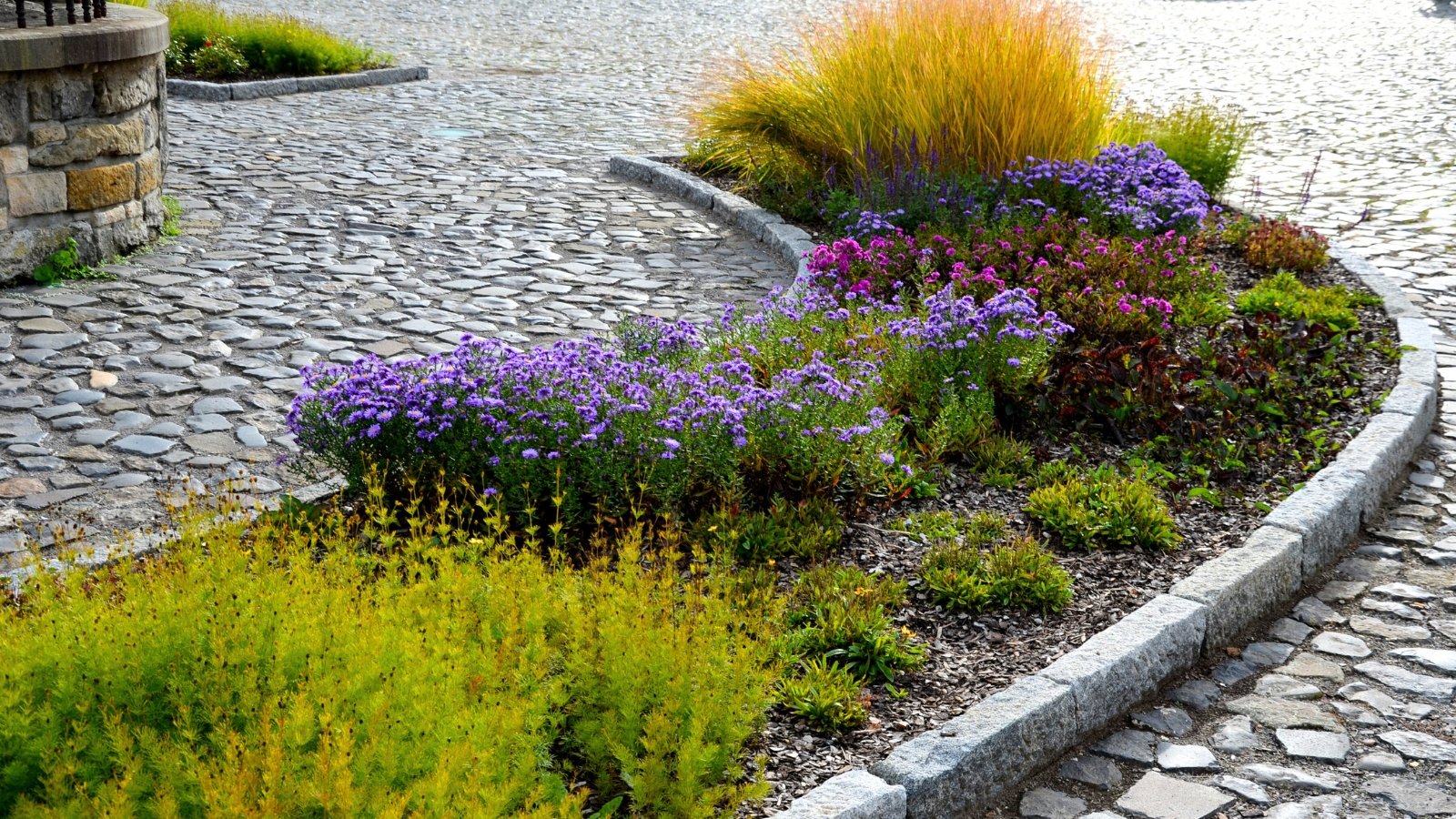 A vibrant autumn flowerbed features masses of purple and pink perennials mixed with airy ornamental grasses swaying in the breeze.