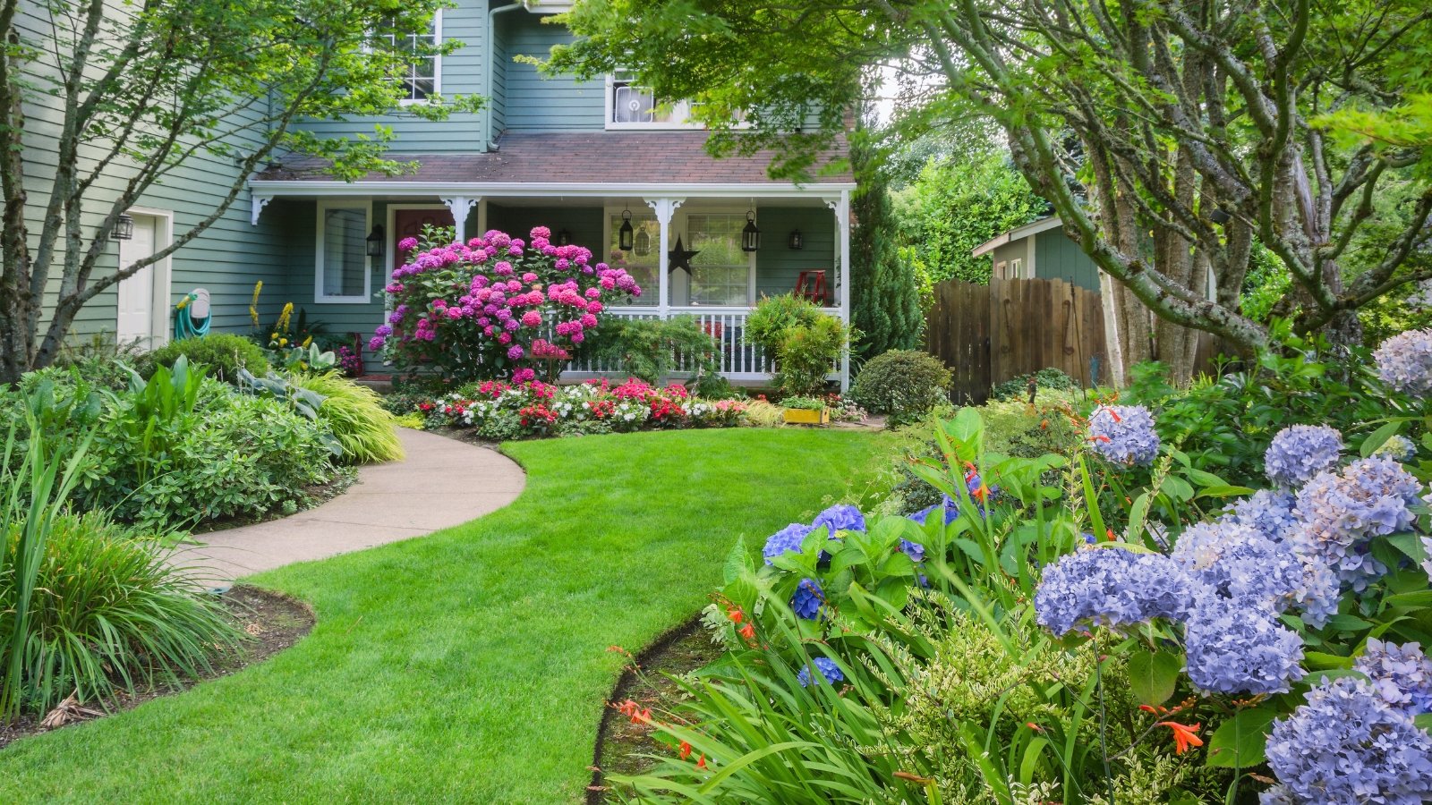 The beautiful front yard is designed using curved lines including rounded paths, blooming beds of hydrangeas and roses, and a neat green lawn with curved edges.