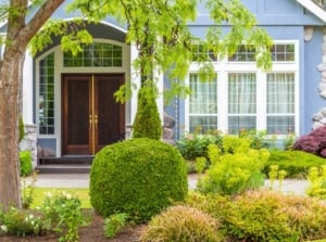 A neat, well-structured landscape in front of a large soft blue house with various evergreen shrubs, well-trimmed boxwoods, flowering perennials and bulbs, ornamental grasses and tall trees, showing one of the easy home landscape ideas.
