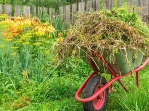 A large garden wheelbarrow full of garden debris against the backdrop of a lush, blooming garden - demonstrating how to fix an overgrown garden.
