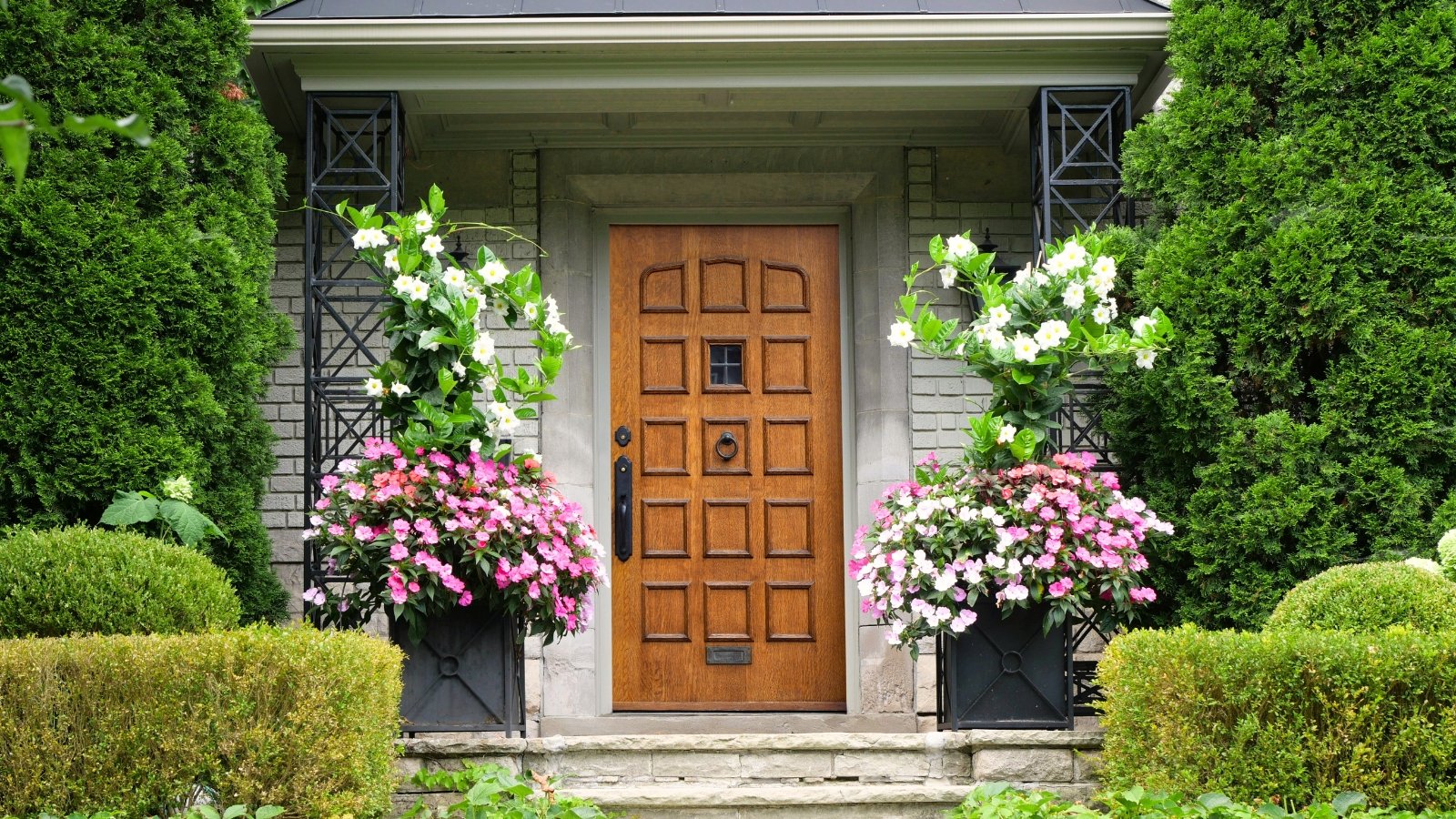 A large wooden front door framed by pots of blooming pink impatiens on the porch, with white-flowered Mandevilla boliviensis climbing nearby and neatly trimmed boxwood bushes in the front yard.