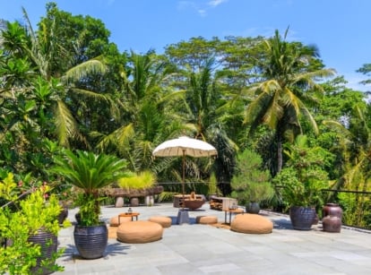 A large collection of jungle patio container plants with lush green leaves in different sized containers arranged on a stone patio.