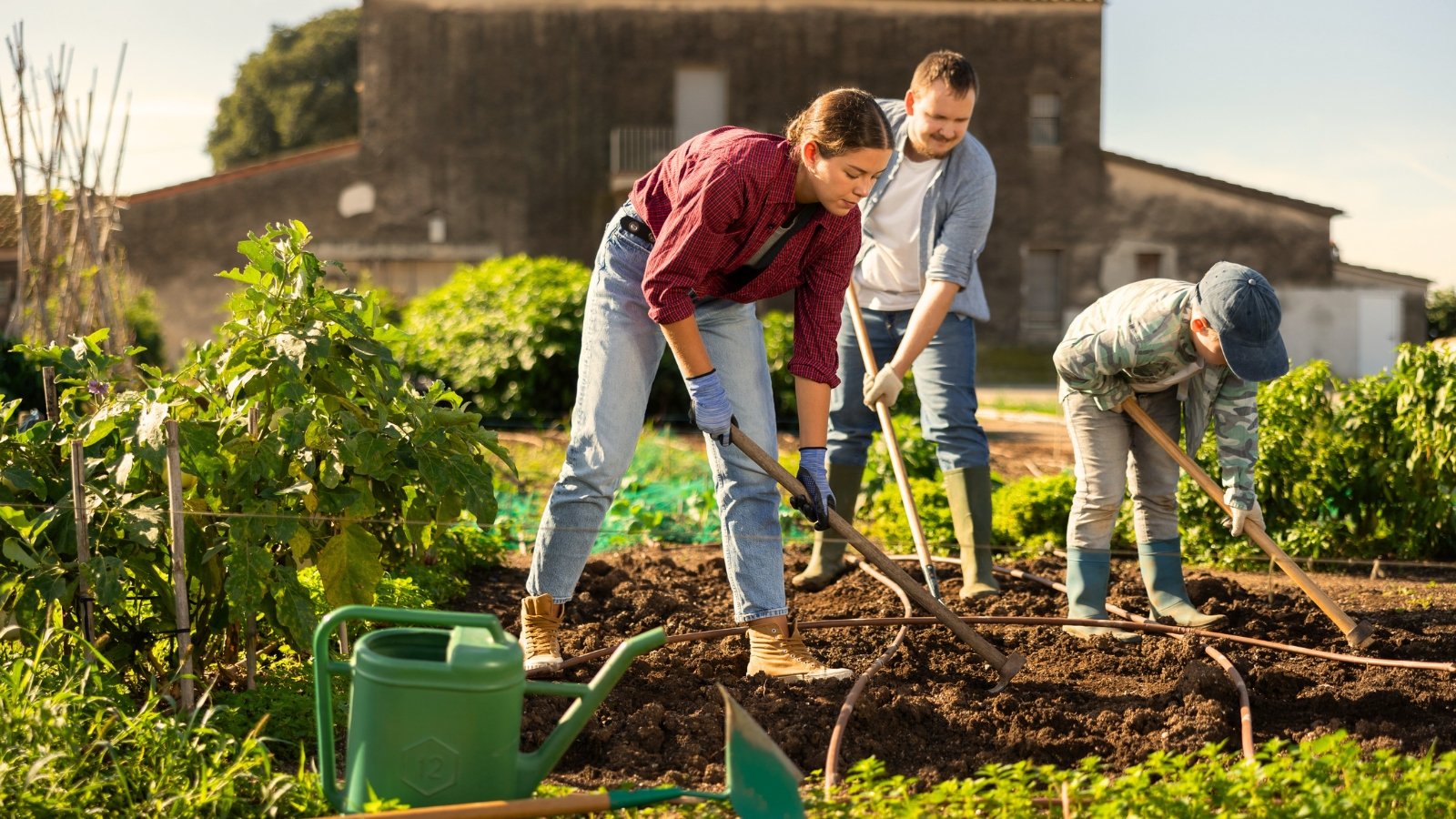A family of mom, dad, and son working together to cultivate rich soil in a garden bed, illustrating regenerative home gardening basics.