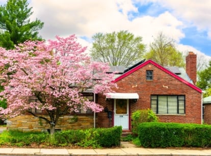 A flowering magnolia tree with delicate pink four-petaled blooms grows near a charming brick house.