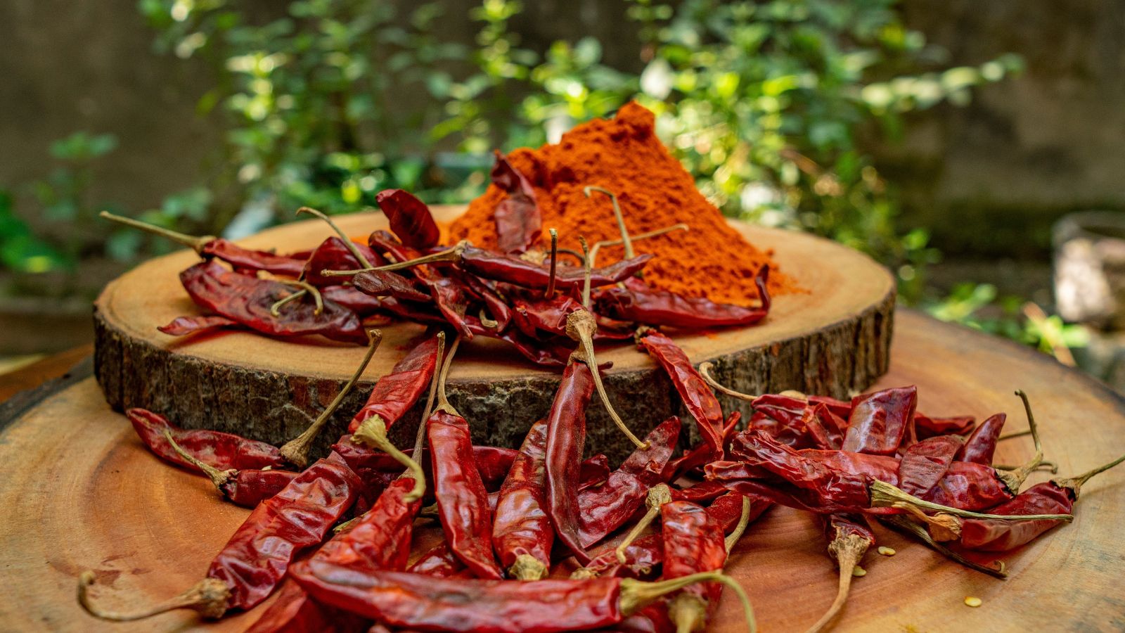 A close-up shot of a composition of dried peppers placed on a wooden stump alongside a bowl of chilli powder, all situated in a well lit area outdoors