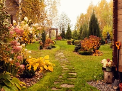 A close-up shot of a large yard area featuring various plants and flowers, showcasing fall wildlife garden