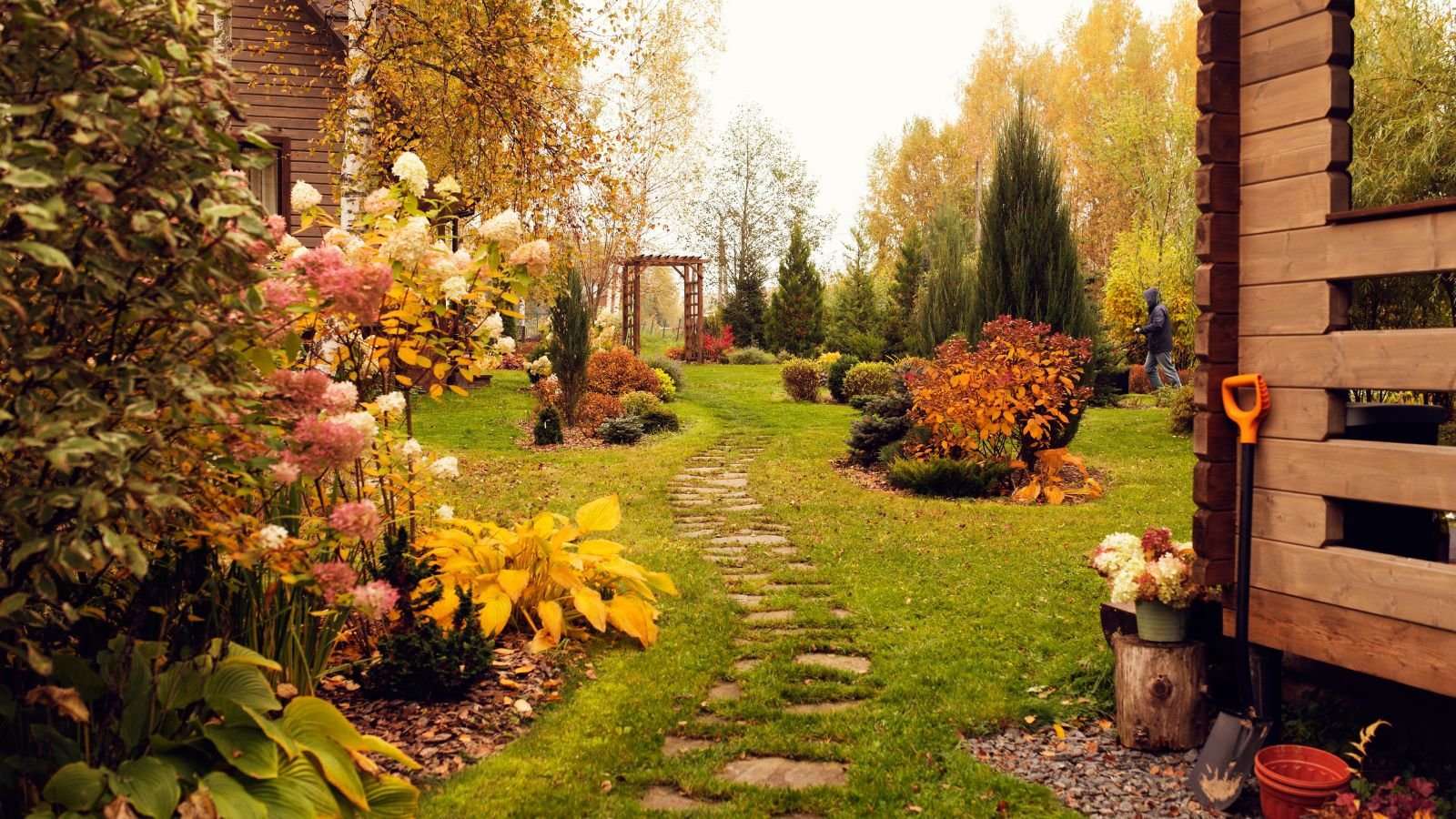 A close-up shot of a large yard area featuring various plants and flowers in a large yard area outdoors