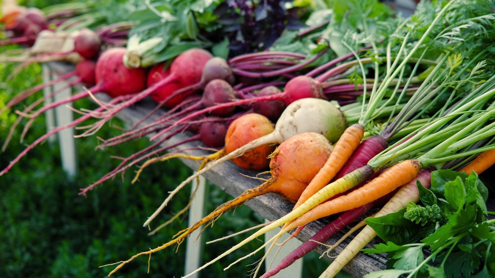 A close-up shot of a small pile of freshly harvested crops, all placed on a wooden table in a well lit area outdoors, showcasing last minute fall planting