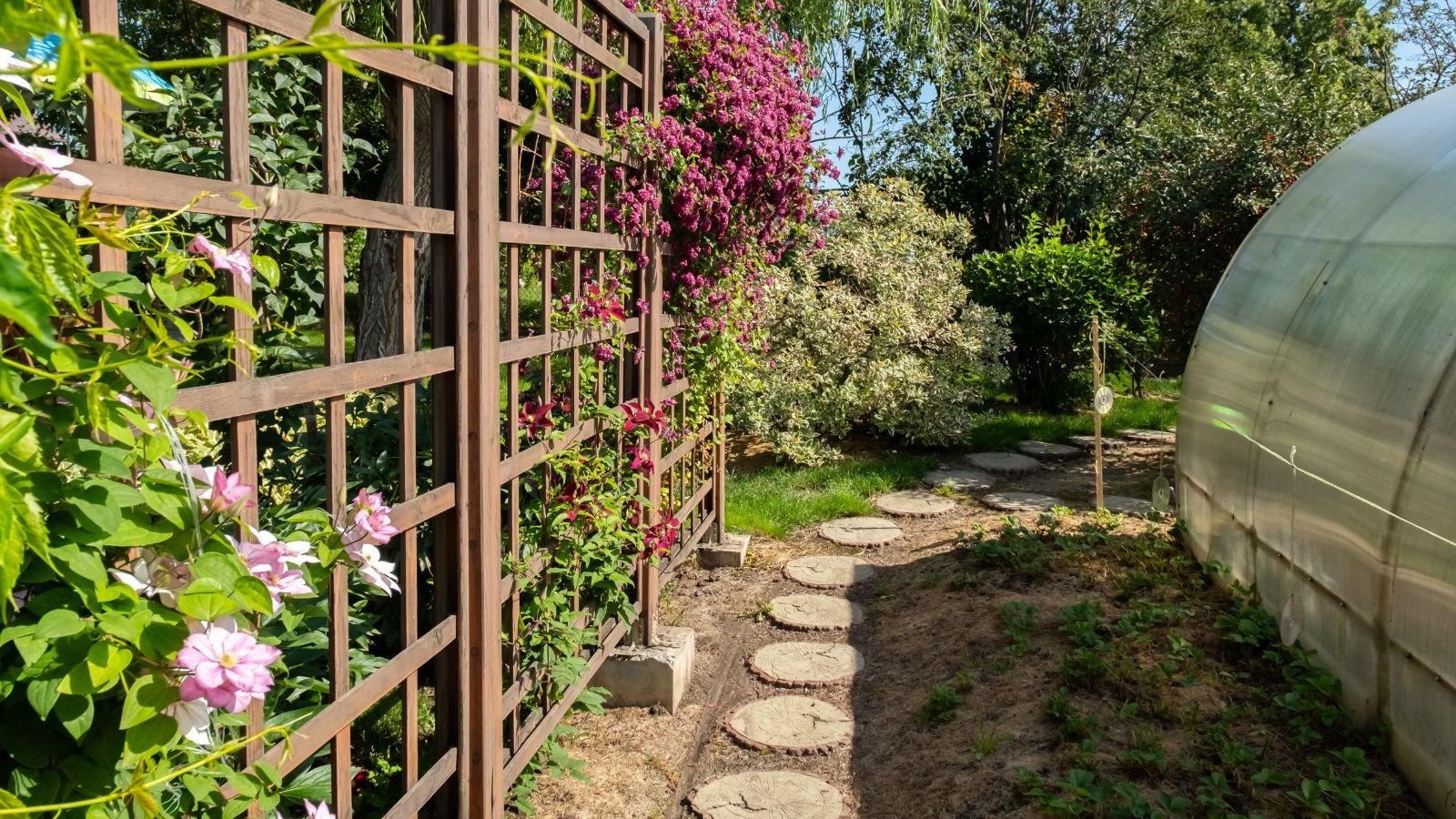 A garden with a wooden trellis meant to support flowering shrubs, appearing to have many varieties in the area