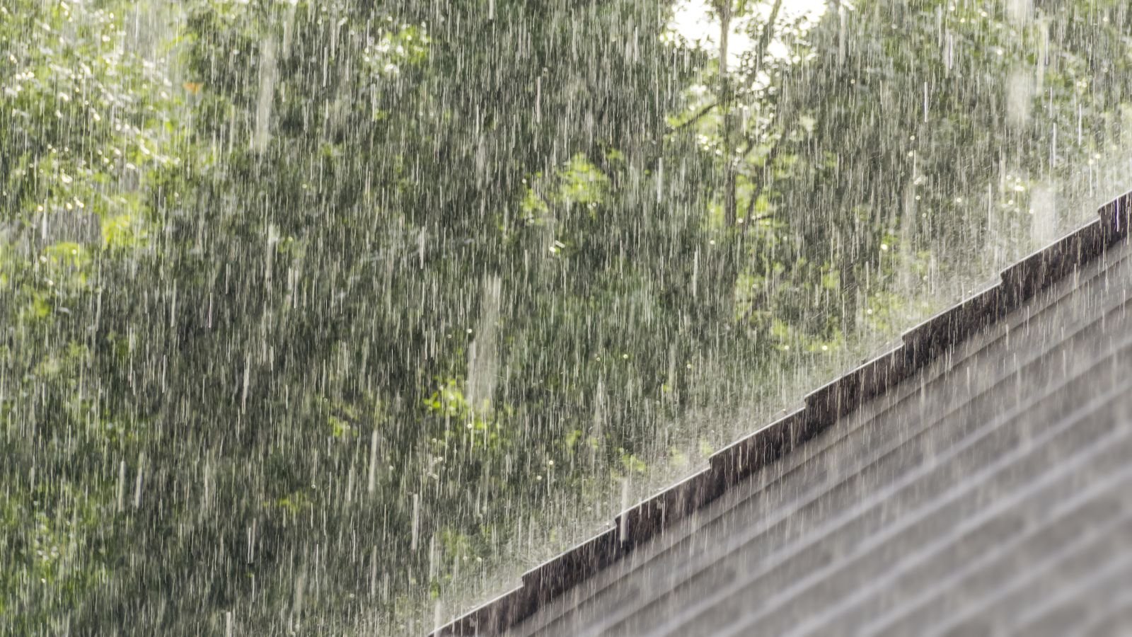 A heavy downpour hitting the roof hard with tall trees appearing sturdy and strong in the background