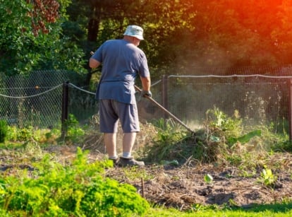 A person doing garden cleanup practices at an area with abundant foliage and dirt with a wire fence nearby under the sunlight