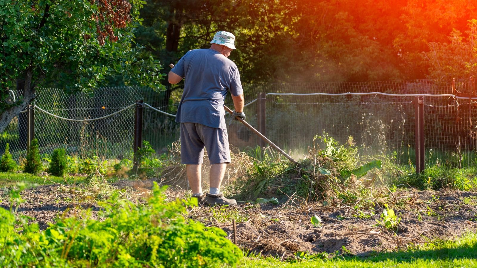 A person doing garden cleanup practices at an area with abundant foliage and dirt with a wire fence nearby under the sunlight