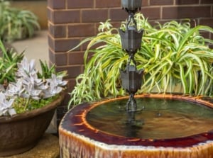 A planned vertical rain garden with a gutter chain surrounded by different plants, with containers meant to collect rainwater
