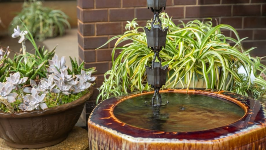 A planned vertical rain garden with a gutter chain surrounded by different plants, with containers meant to collect rainwater
