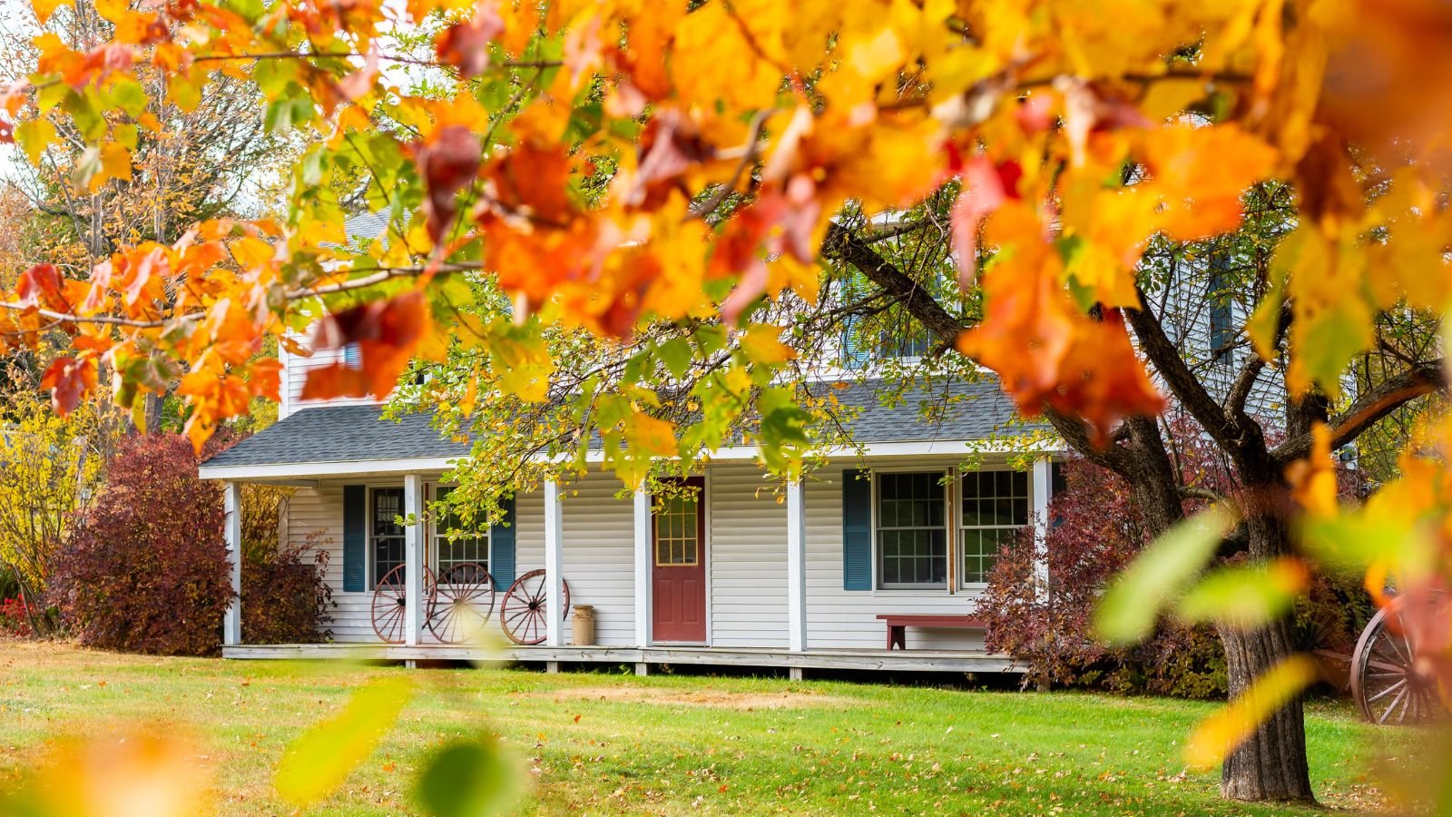 A shot of a home garden in the background with an unfocused shot of a large tree in the foreground, all situated in a well lit area