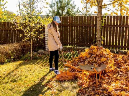 A shot of a person in the process of raking and cleaning a yard area of fallen leaves, beside a wheelbarrow, showcasing october gardening zones 6-8 checklist