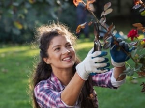 A woman gardener doing deadheading vs pruning, appearing to involve a tall bush with red blooms in a green garden