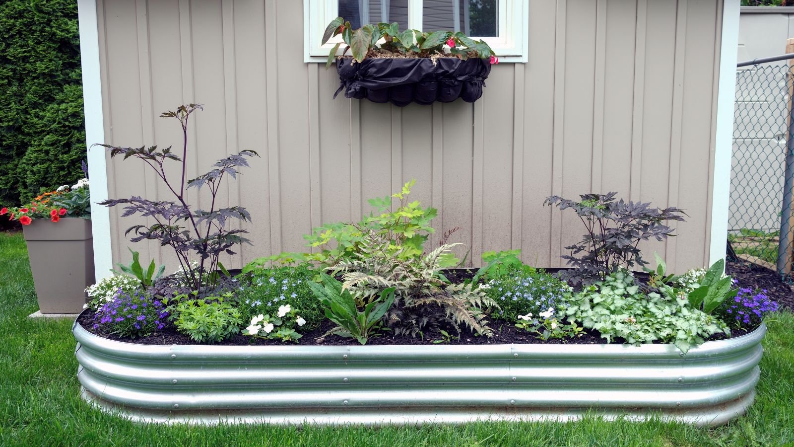 An outdoor raised bed with plants hanging outside a window, appearing to have various plants with different foliage