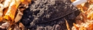 An overhead and close-up shot of a hand trowel filled with organic compost, placed along fallen dead leaves, showcasing fall fertilization