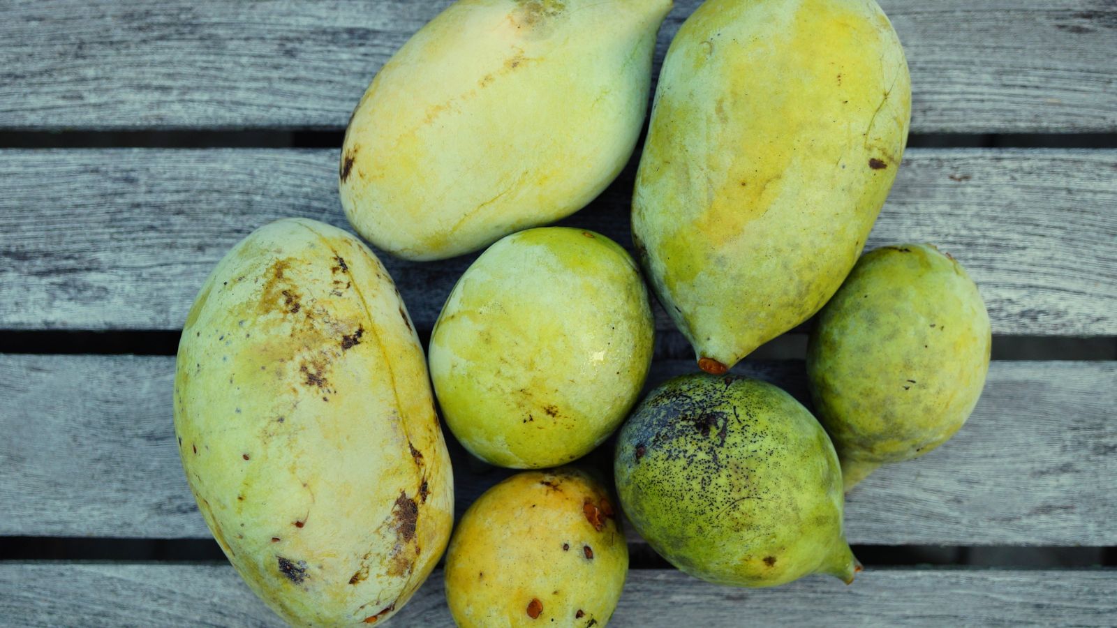 An overhead and close-up shot of a small pile of freshly picked oblong fruits, all placed on a wooden surface