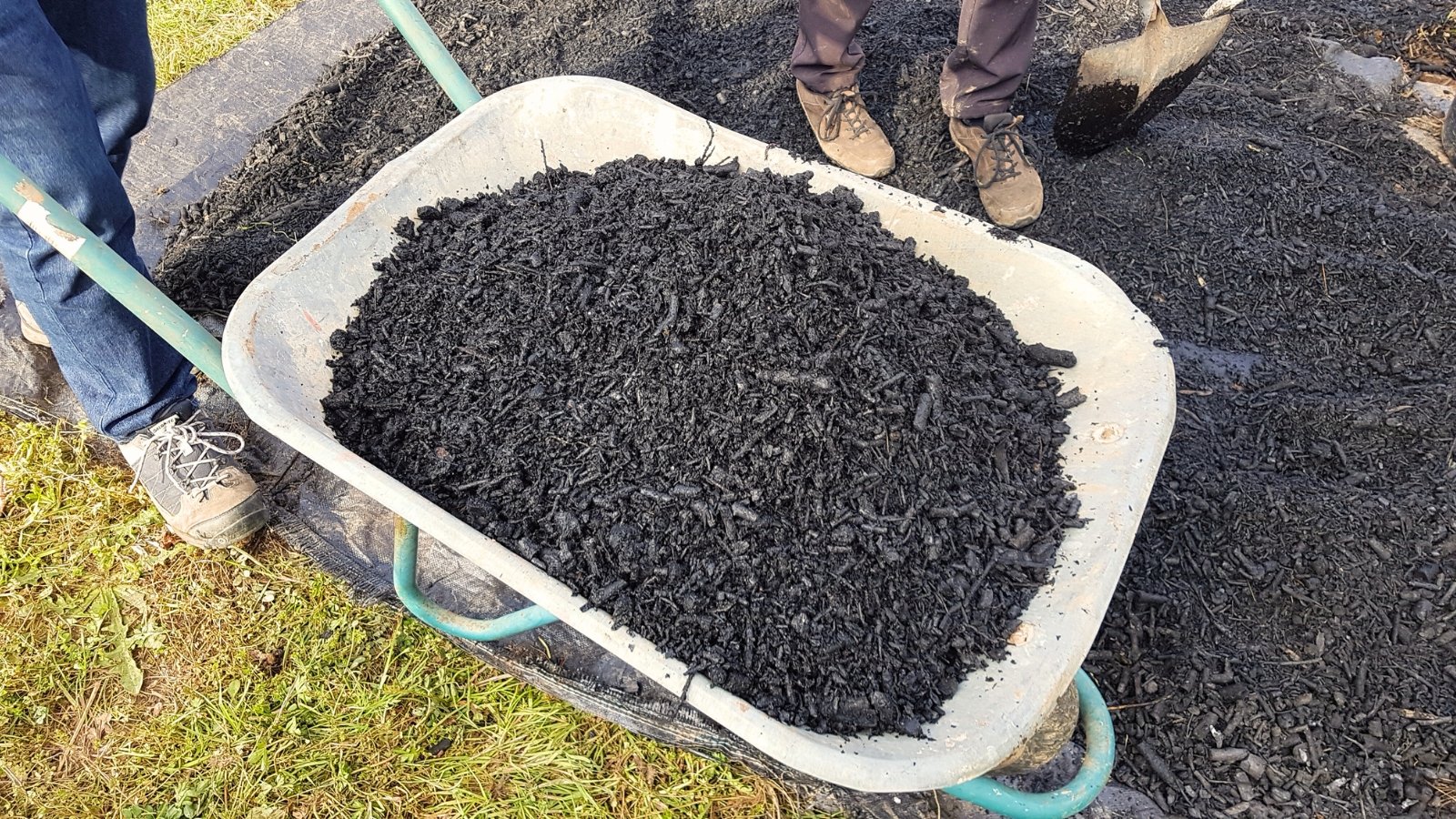 A gray wheelbarrow filled with chunky, dark black biochar pieces stands next to a garden bed with two gardeners.
