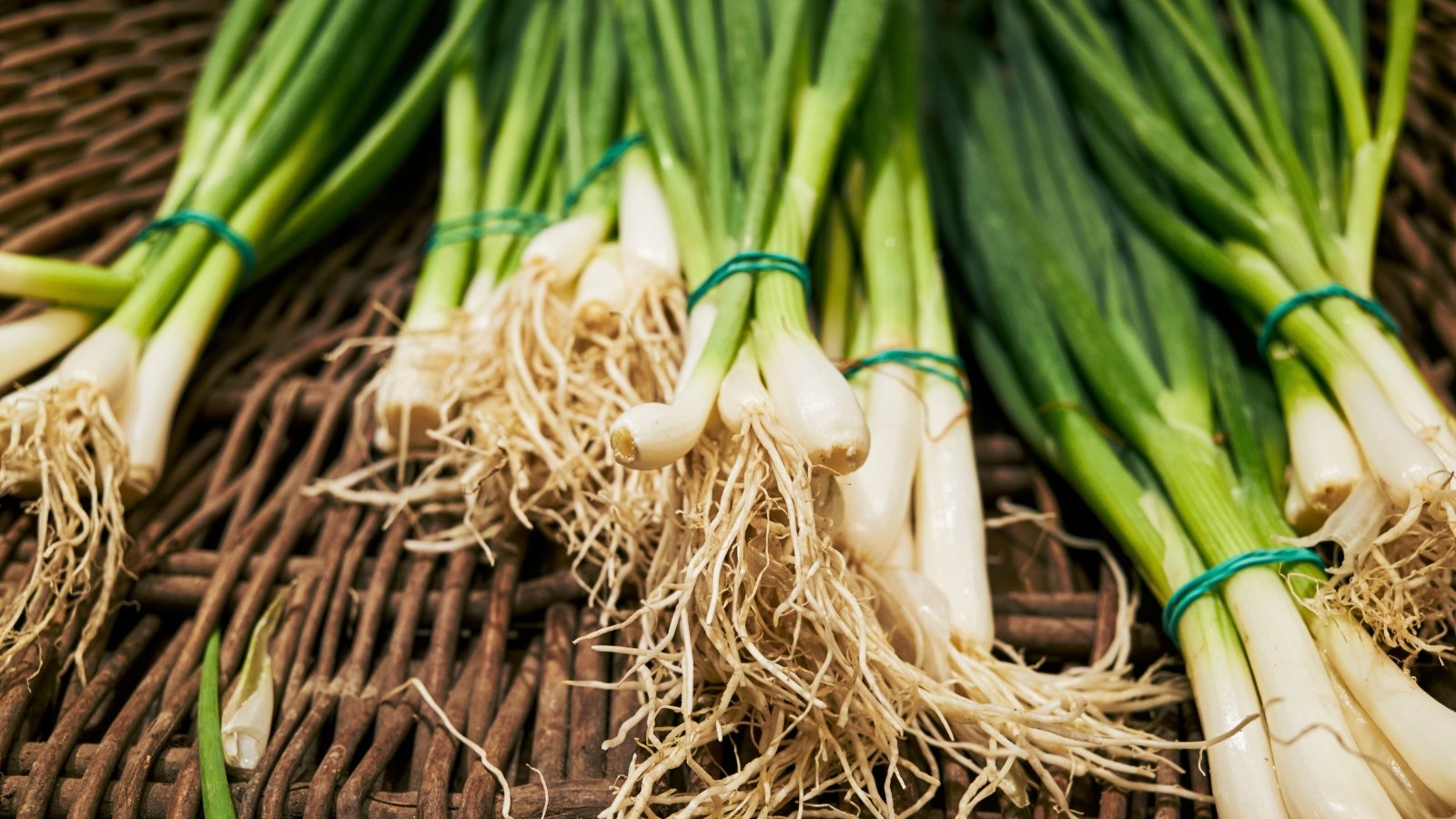 Freshly harvested bunching onions with long, slender white stems and vibrant green tops are laid out on a wicker surface.