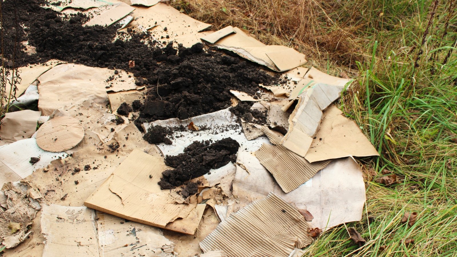 Flat cardboard pieces lie across the field, partially covered with dark, crumbly compost that creates a protective layer for weed suppression.

