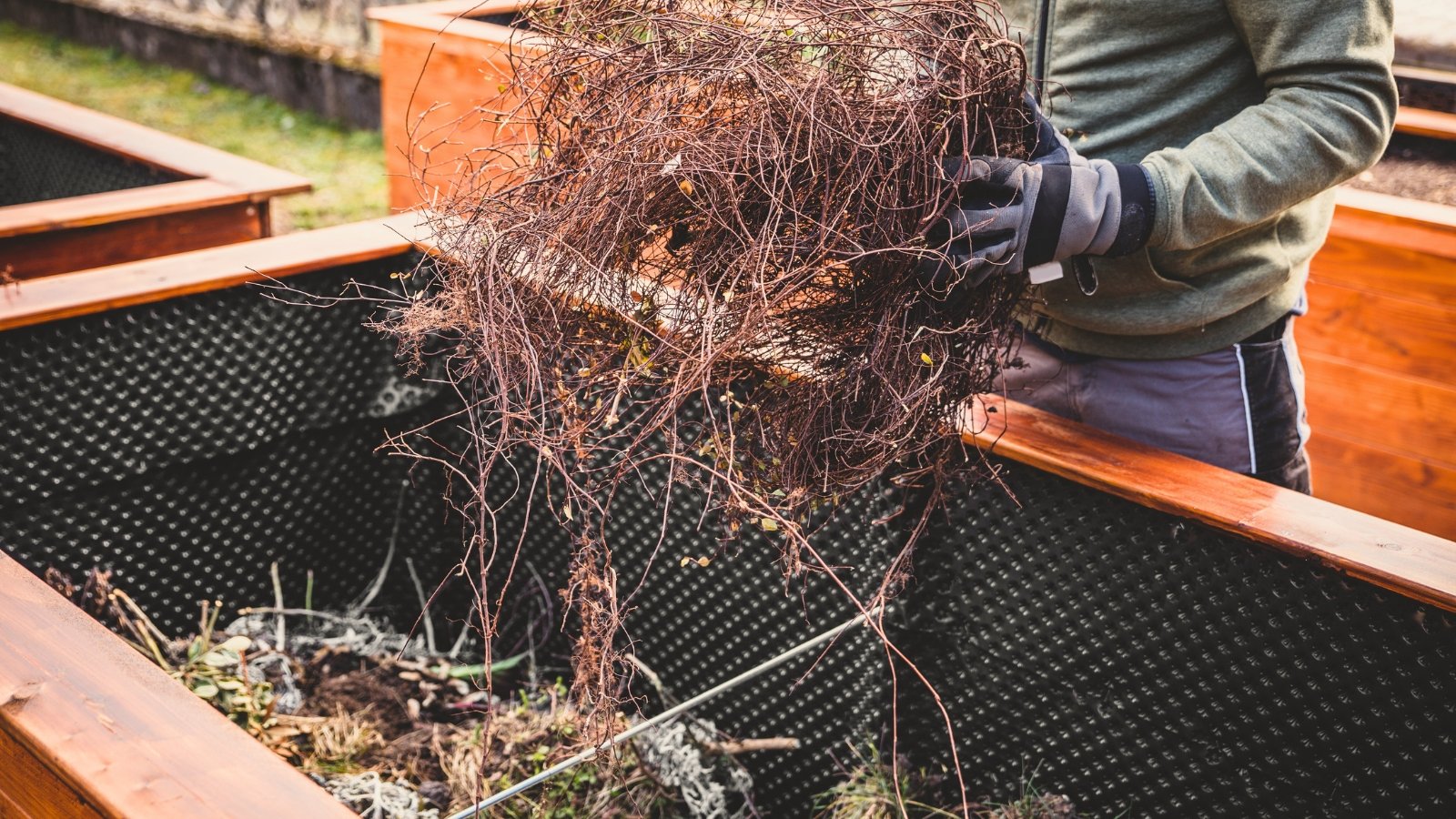 Gardener placing branches into a wooden raised bed, preparing it for a layered garden.
