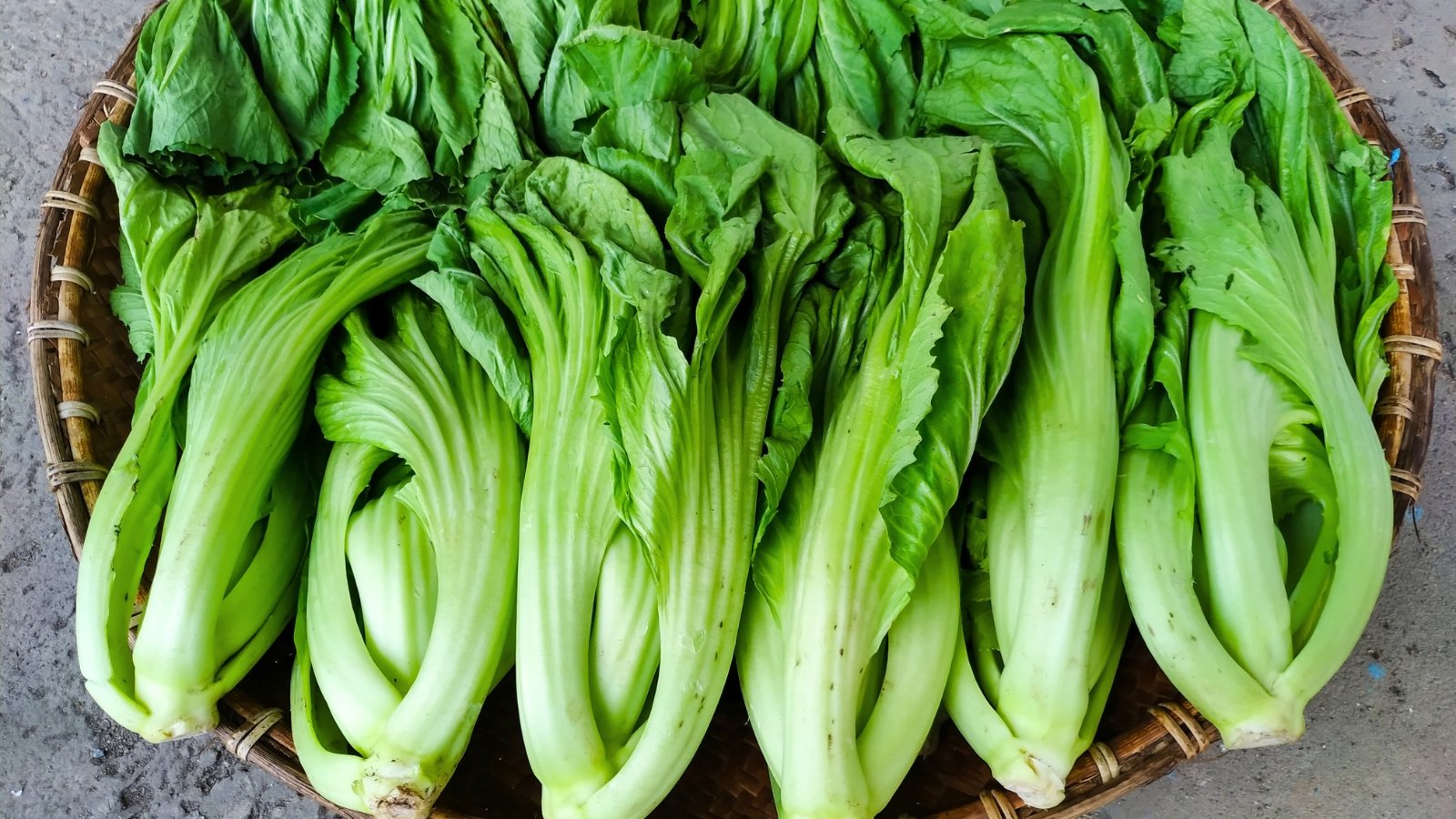 Freshly harvested plants with crisp, bright green leaves and sturdy, pale green stems are heaped in a large wicker bowl.