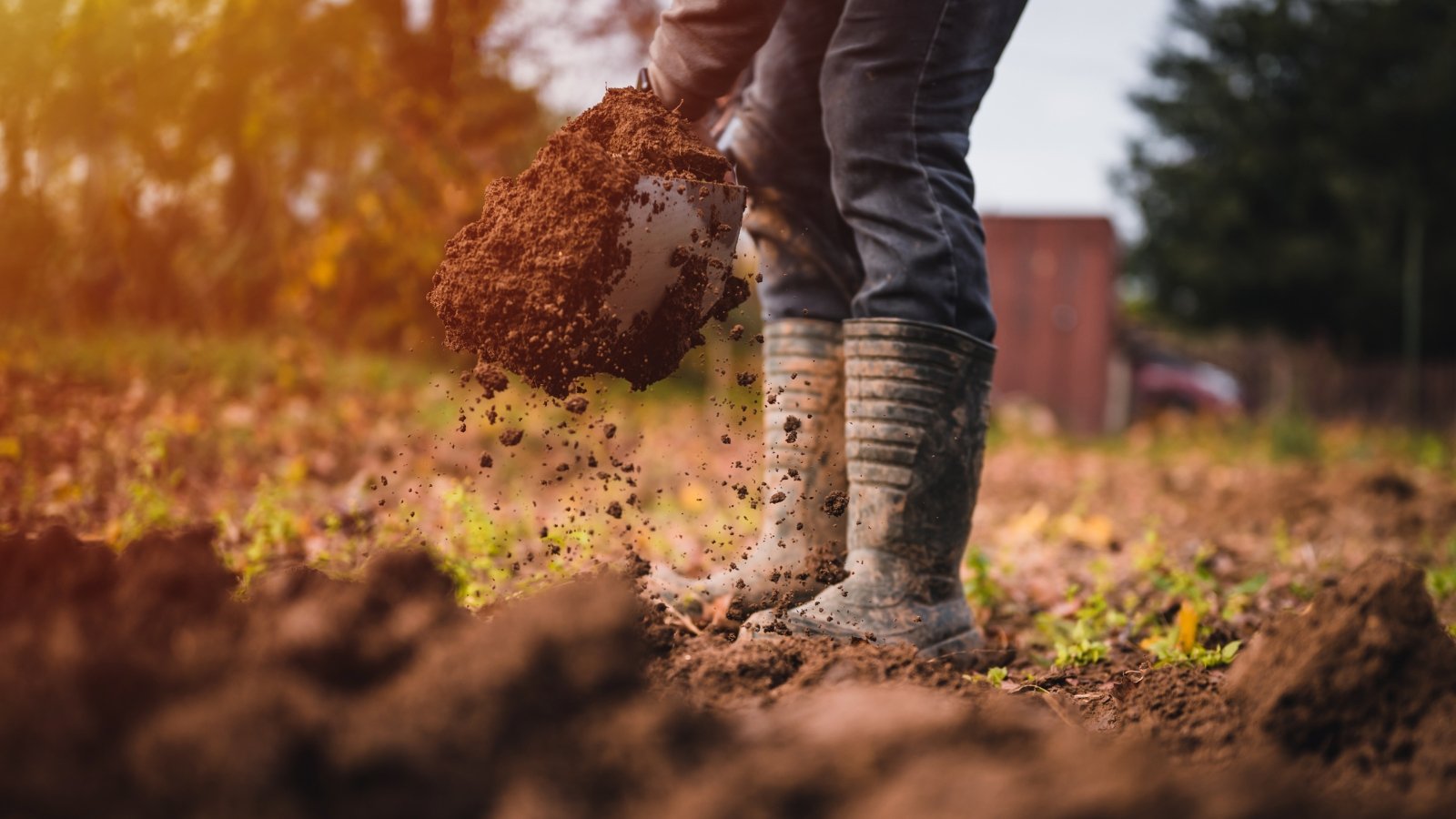 A female gardener in high rubber boots amending the soil using a large garden shovel.