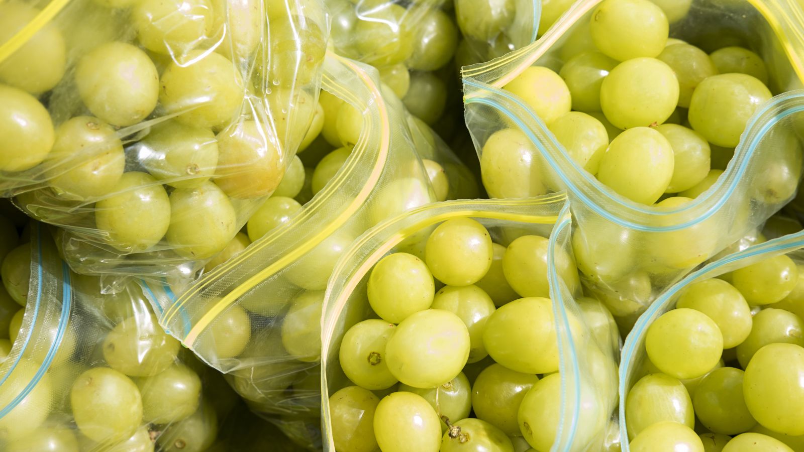 Harvested green Vitis vinifera placed in many plastic bags with zip locks making them resealable