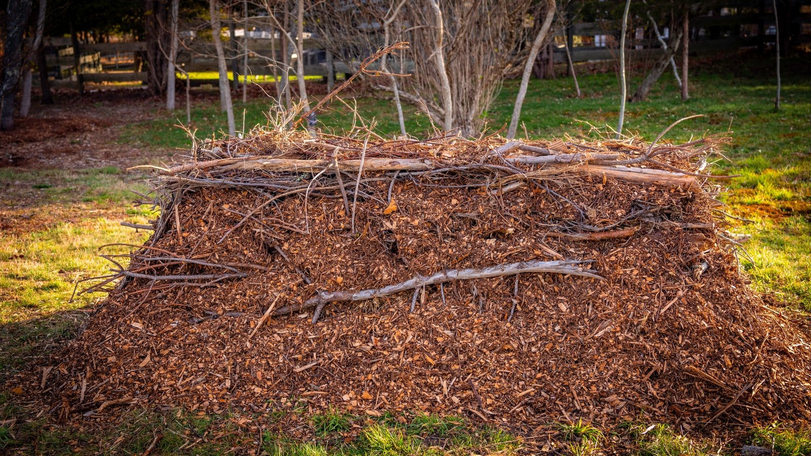 Hügelkultur bed in the garden with a raised, layered structure of logs, branches, and soil, ready for planting.