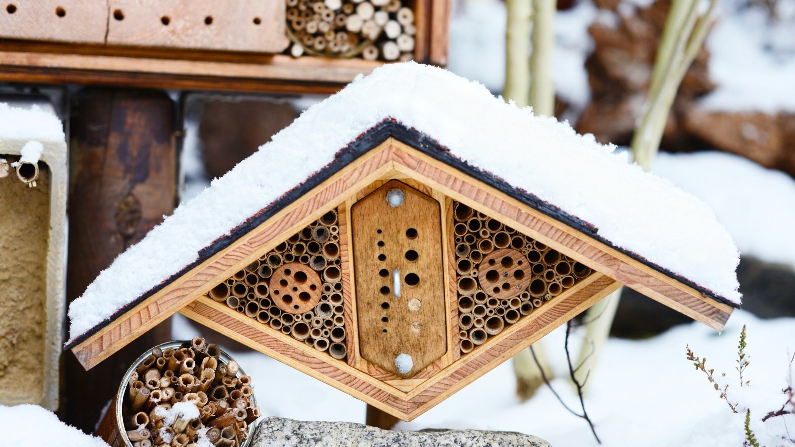 Insect hotel blanketed in snow, with wooden compartments and tubes partially visible.