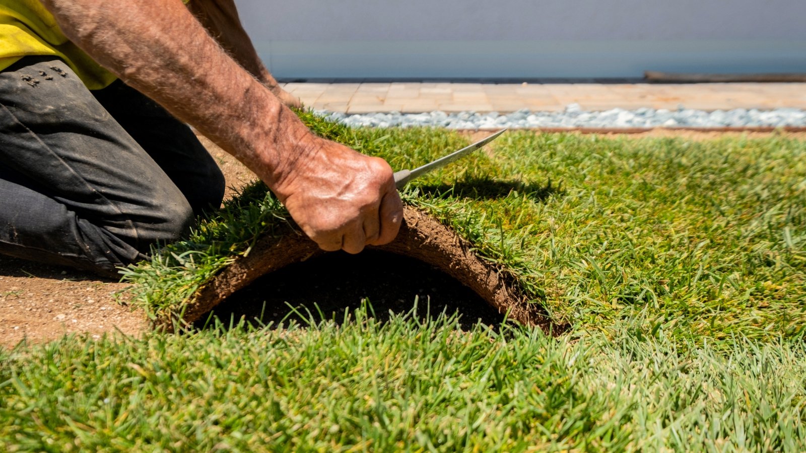 Close-up of a gardener’s hands pressing a piece of sod onto freshly prepared soil, aligning it with the surrounding lawn.