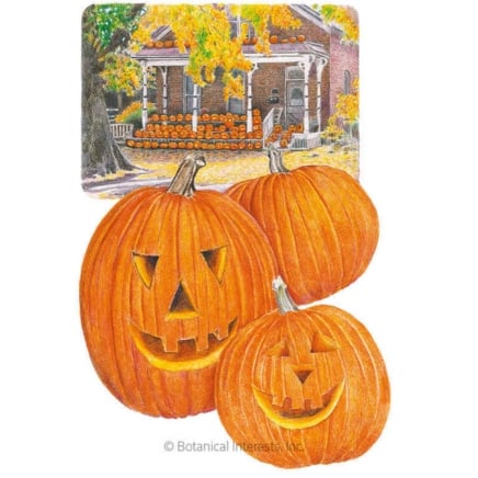 Jack O'Lantern