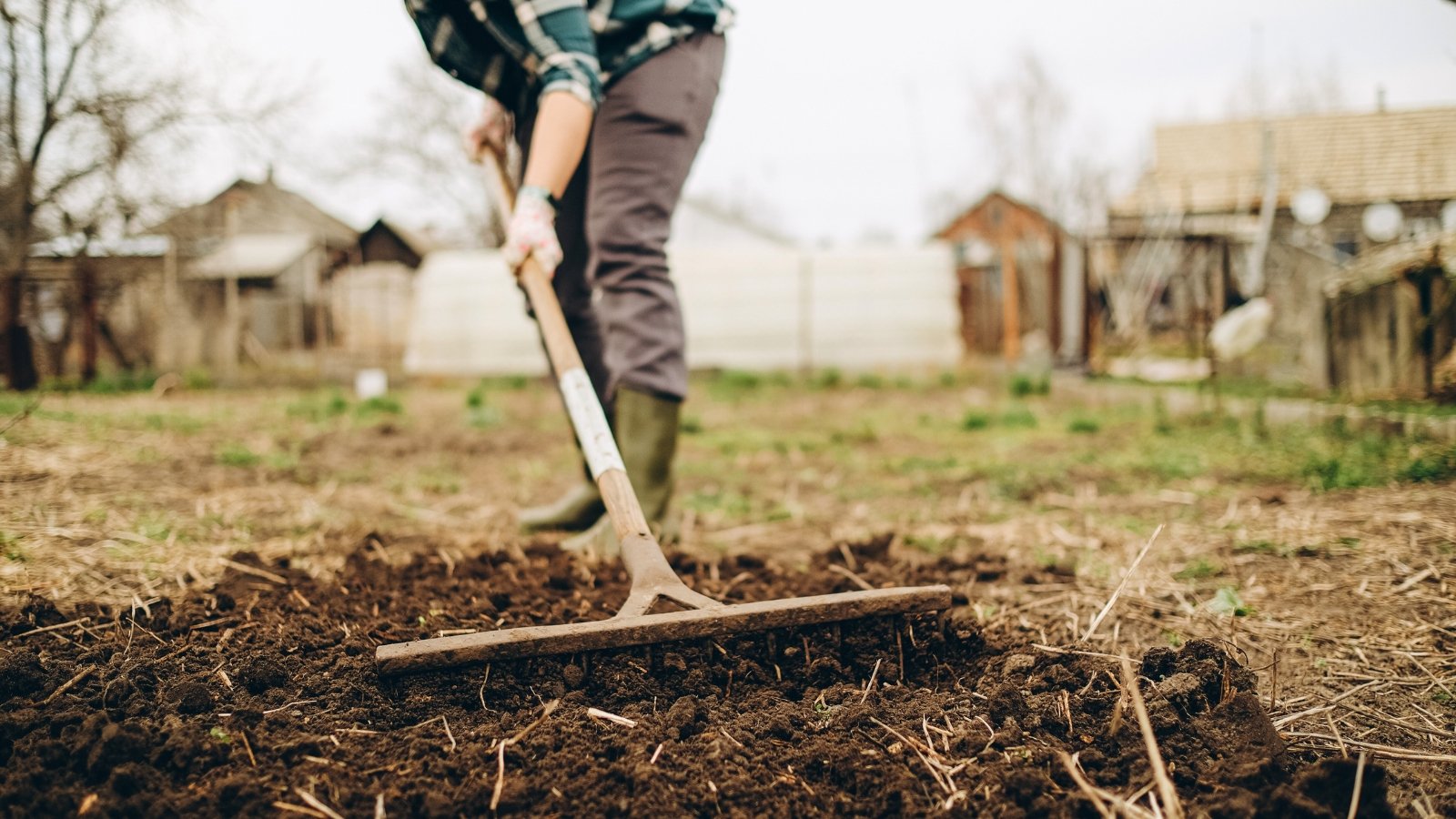 A female gardener in a plaid shirt uses a large garden rake to loosen and level the soil, enhancing its texture.