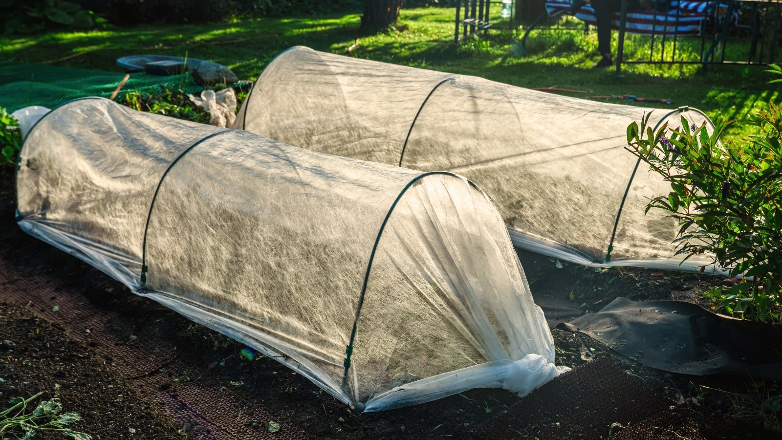 Two low tunnels draped with row cover, arching over neat rows of fall garden crops.
